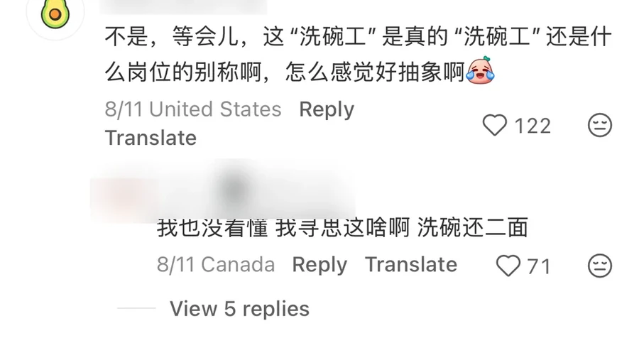 A RedNote comment asking whether dishwasher is a literal job or a coded title and saying the situation feels 抽象, 122 likes, United States; username blurred — 抽象 (chou xiang)