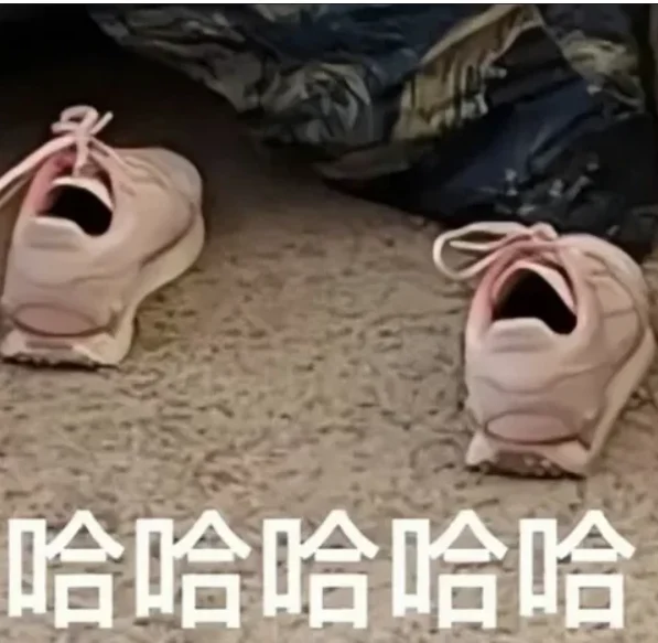 Meme: two pink sneakers gaping open on the floor, captioned 哈哈哈哈哈